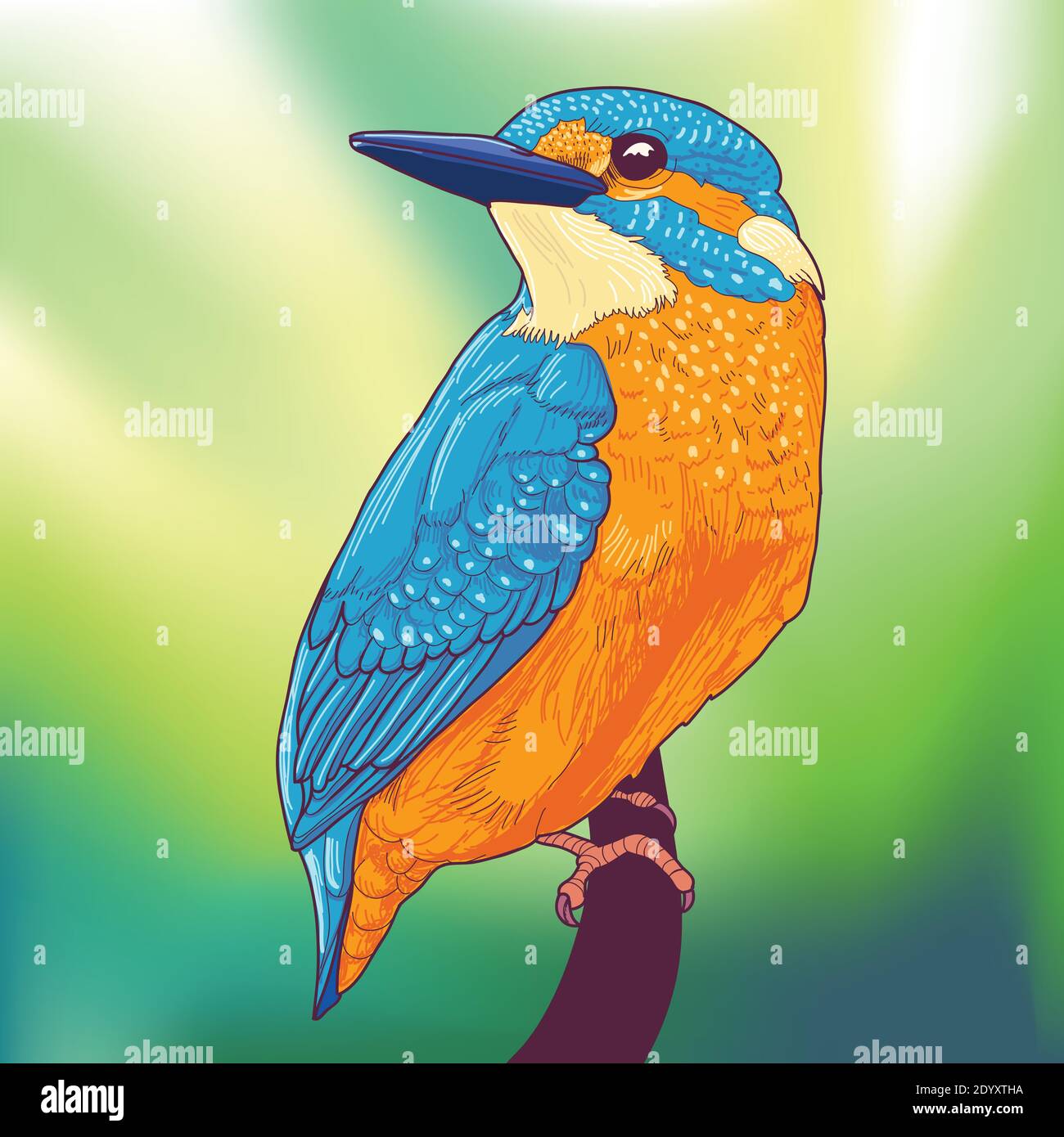 Oiseau de kingfisher coloré sur un fond vert abstrait Illustration de Vecteur