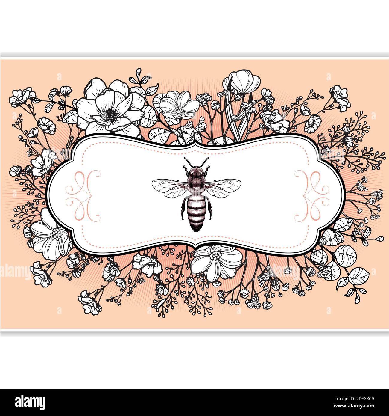Élégante étiquette victorienne à base de plantes apothécaire avec queen Bee et fleurs Illustration de Vecteur