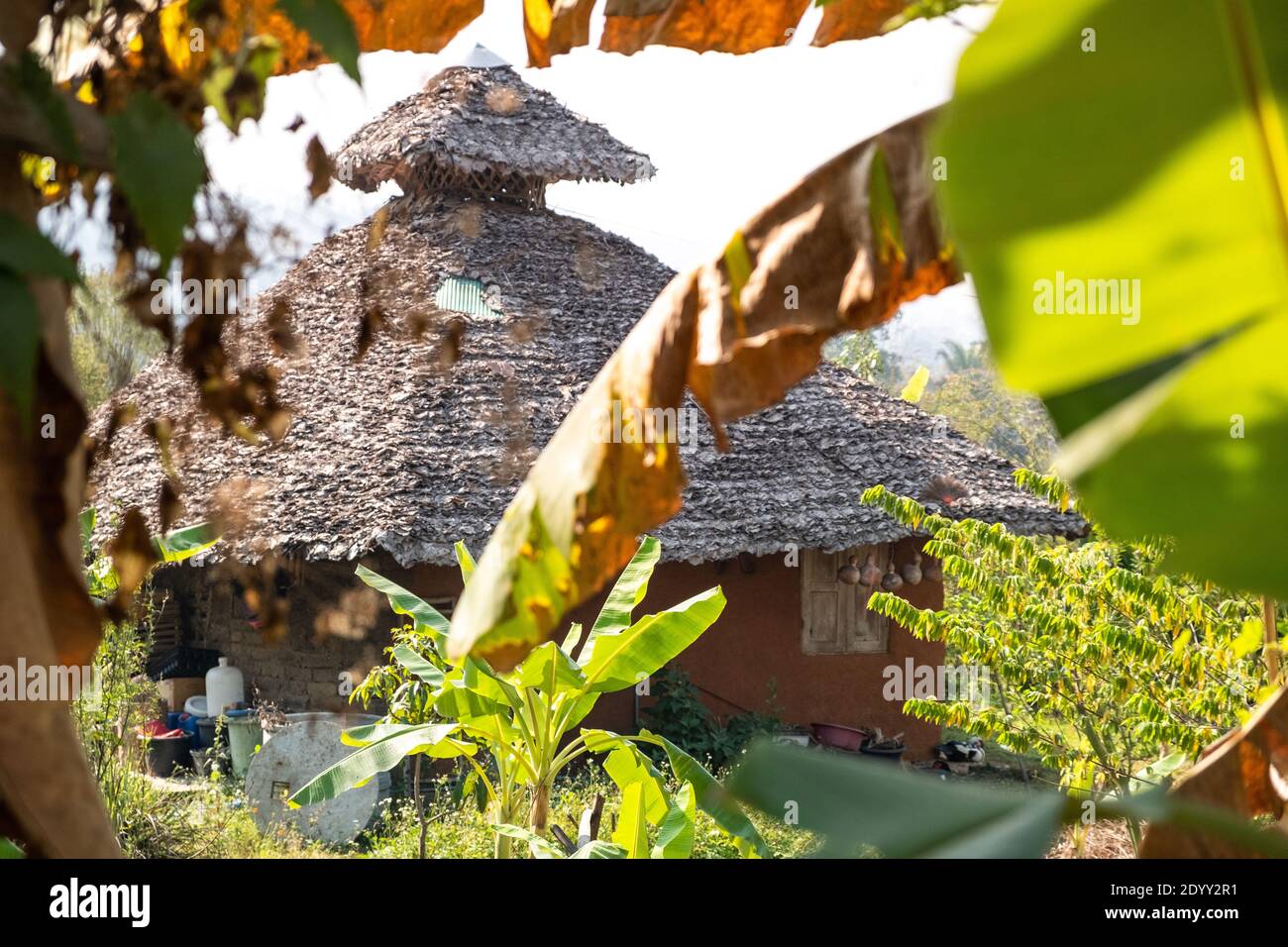 Vue sur une cabane du village thaïlandais à travers des bananiers. PAI, Thaïlande Banque D'Images