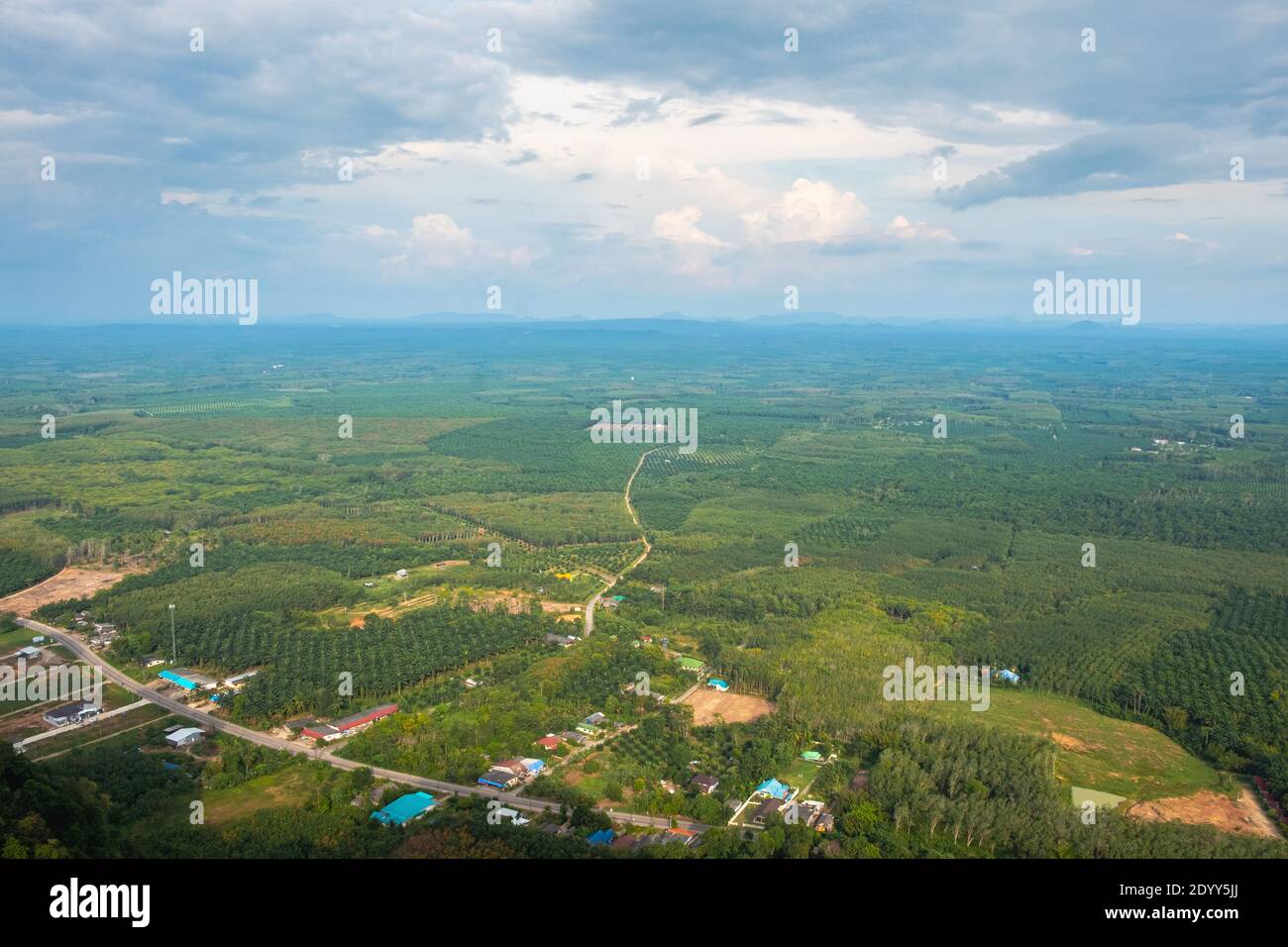Vallée avec des plantations de palmiers à huile et de caoutchouc brésilien. Vue depuis le sommet du temple Tiger Cave en Thaïlande Banque D'Images