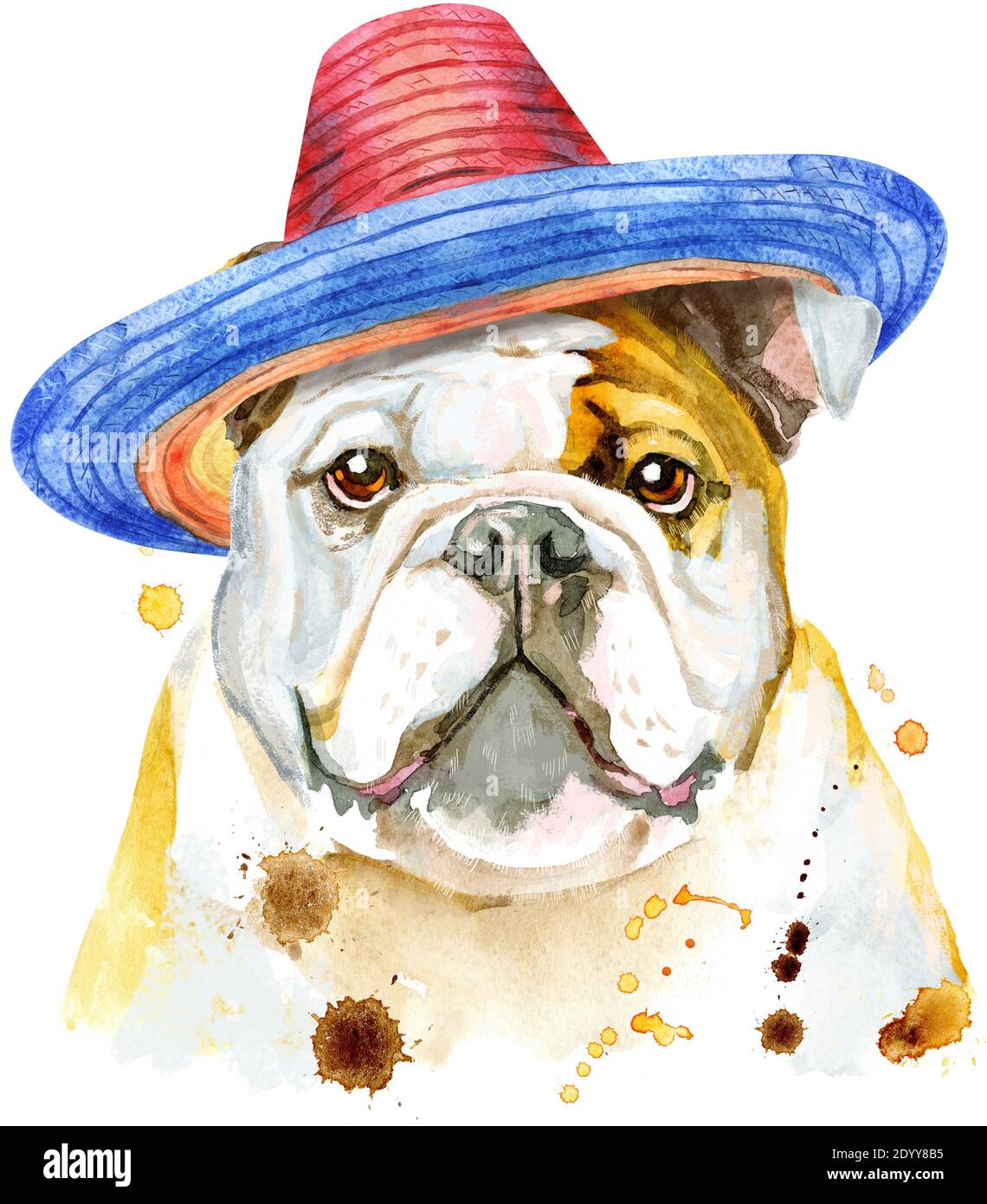 Joli chien en chapeau de sombrero. Motifs pour t-shirt de chien. Aquarelle  illustration pour chien Photo Stock - Alamy