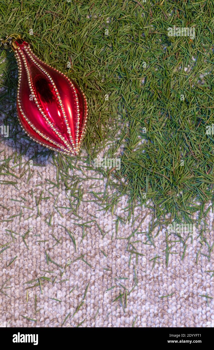 Image verticale des aiguilles de pin d'arbre de Noël qui sont tombées des branches sur le tapis et ont besoin de nettoyage, copier l'espace sur le côté Banque D'Images