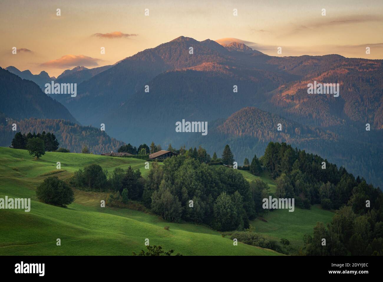 Soleil matinal sur les sommets de la vallée de Fiemme, Cavalese, Tyrol du Sud, Italie Banque D'Images