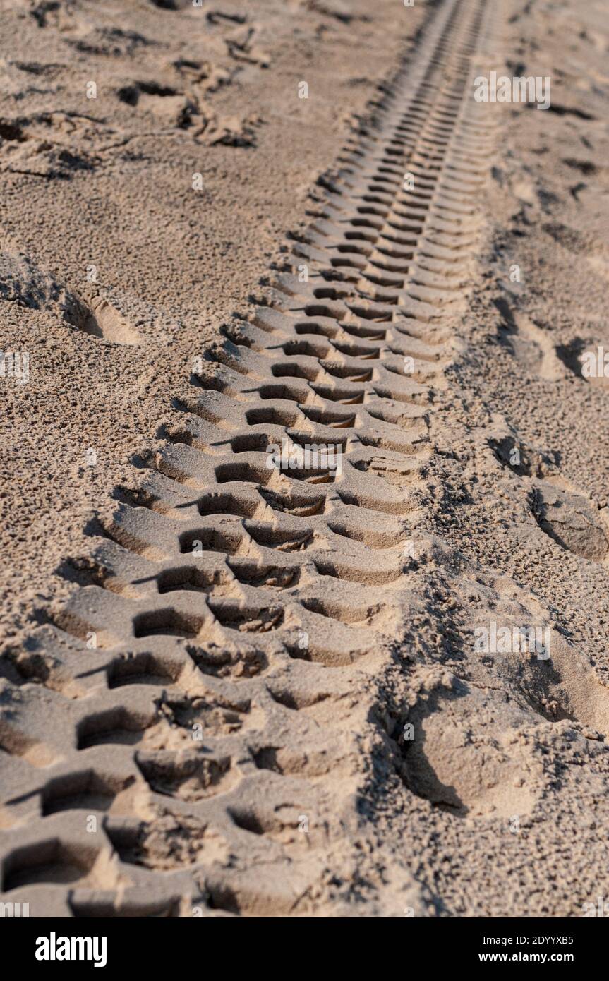 Marques de pneu sur le sable Banque D'Images