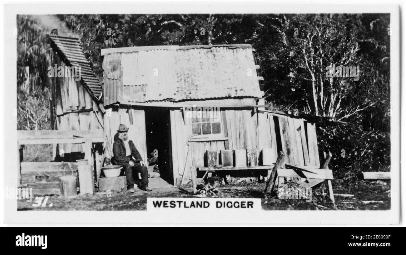 Illustration de l'emblématique creuseur d'or de Westland dans sa cabane, d'une carte à cigarettes sur l'histoire de la Nouvelle-Zélande, vers 1930 Banque D'Images