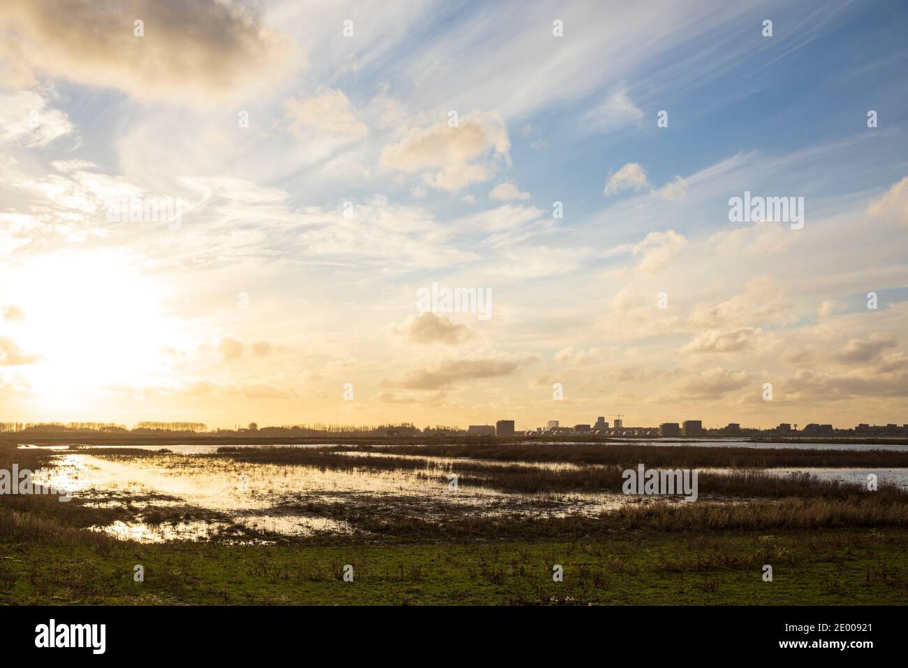 Plantation de jeunes arbres pour cultiver une nouvelle forêt dans un nouveau paysage naturel appelé de Nieuwe Driemanspuder, pays-Bas Banque D'Images