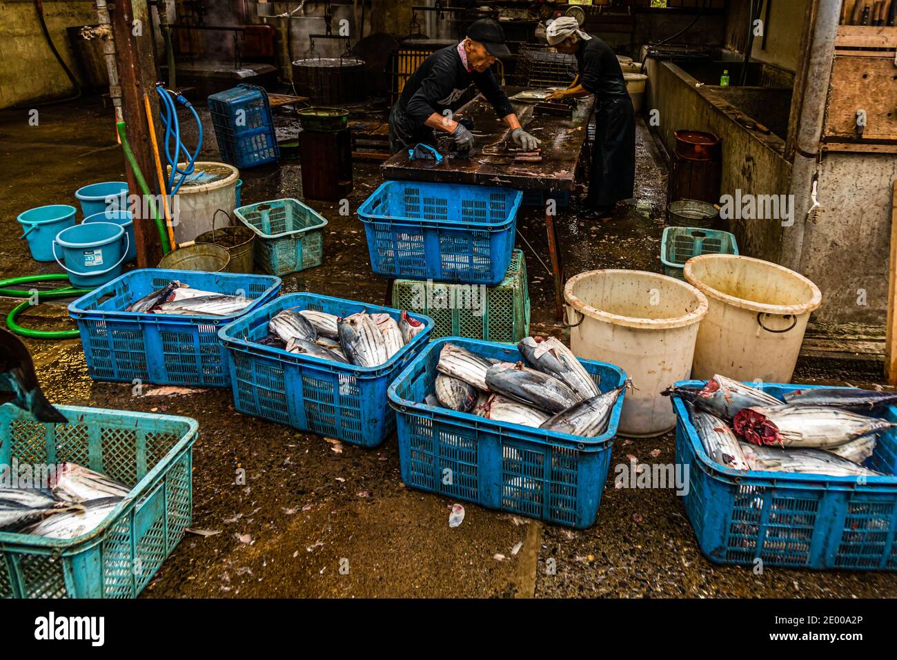 Yasuhisa Serizawa dans Nishiizu-Cho la fabrication Katsuobushi, Shizuoka, Japon Banque D'Images
