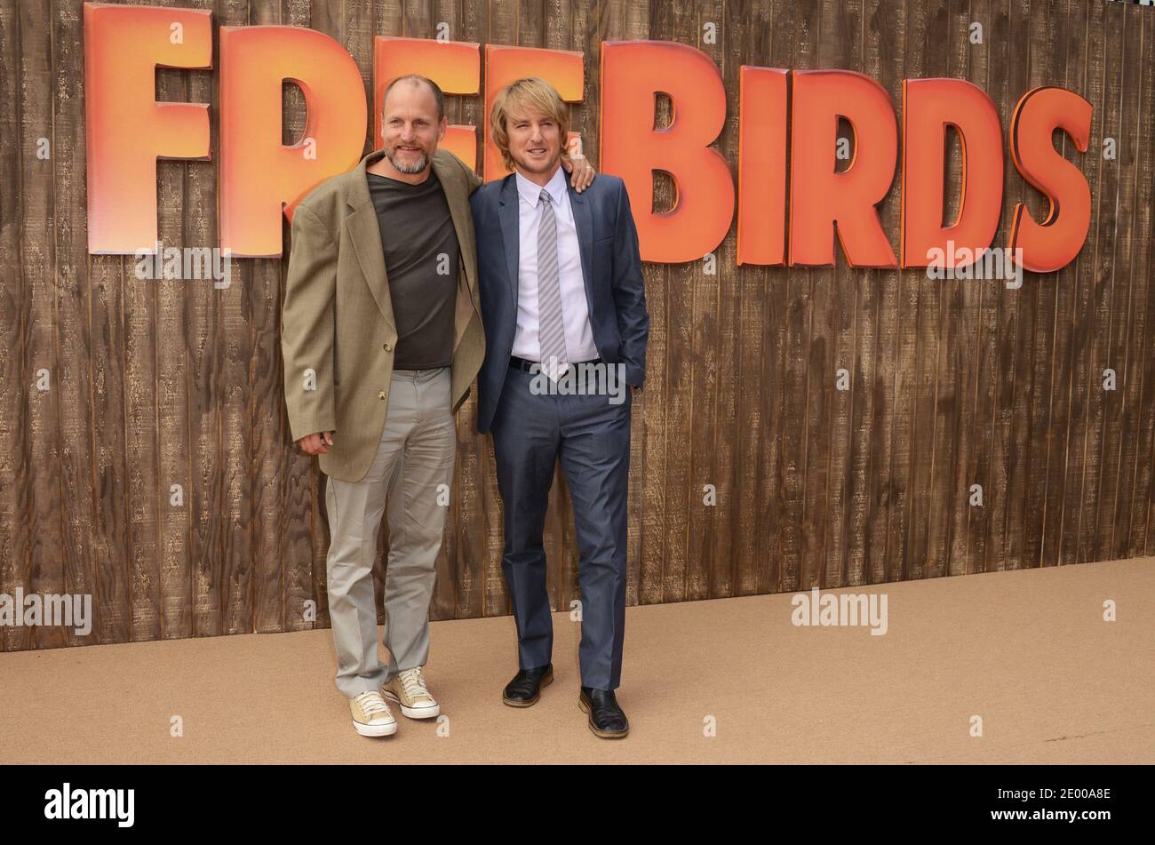 Owen Wilson et Woody Harrelson arrivent à la première de Free Birds au Westwood Village Theatre de Los Angeles, CA, États-Unis, le 13 octobre 2013. Photo de Lionel Hahn/ABACAPRESS.COM Banque D'Images