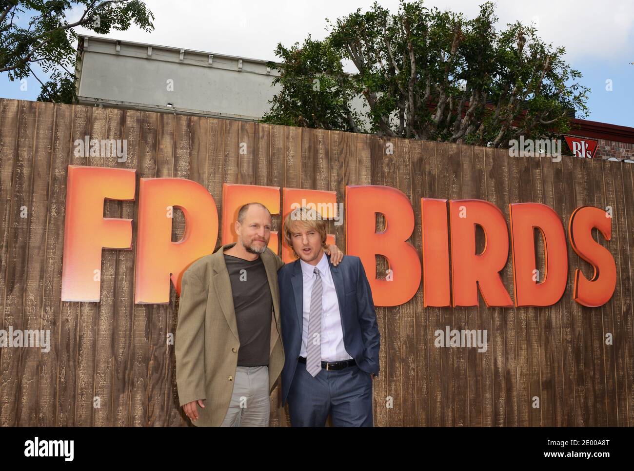 Owen Wilson et Woody Harrelson arrivent à la première de Free Birds au Westwood Village Theatre de Los Angeles, CA, États-Unis, le 13 octobre 2013. Photo de Lionel Hahn/ABACAPRESS.COM Banque D'Images
