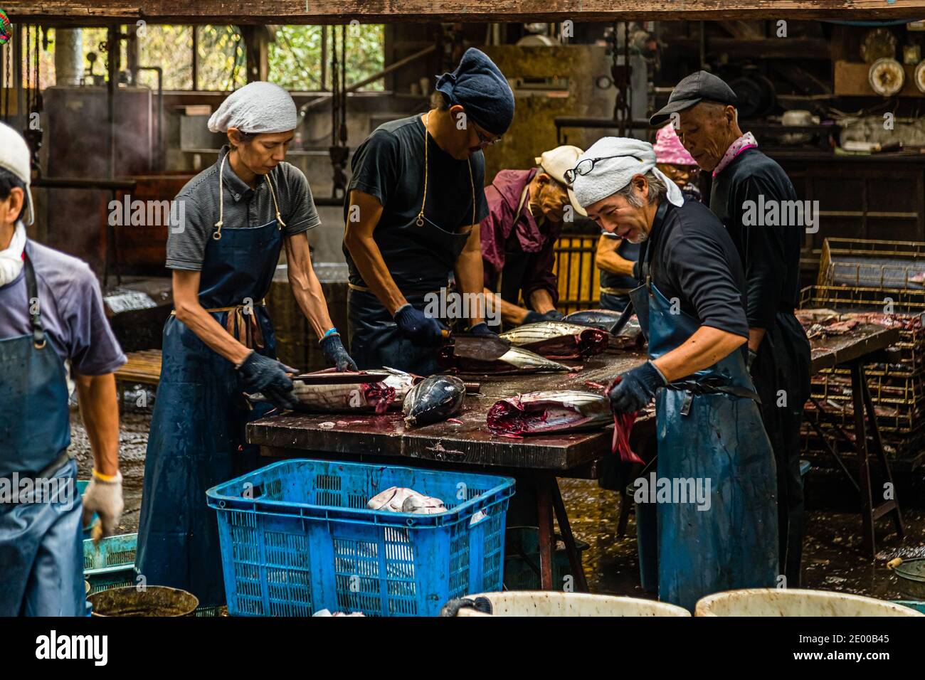 Yasuhisa Serizawa dans Nishiizu-Cho la fabrication Katsuobushi, Shizuoka, Japon Banque D'Images