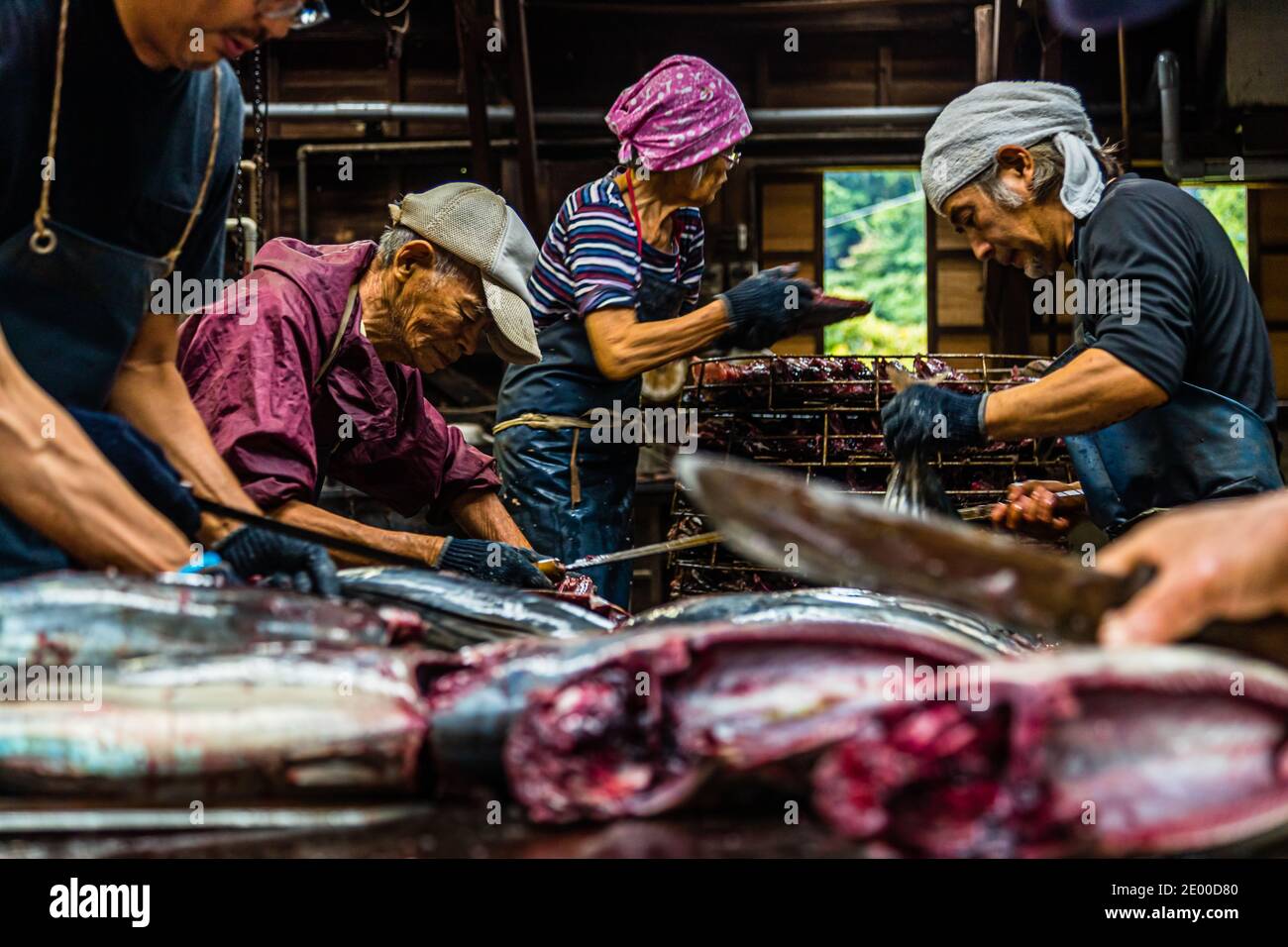 Yasuhisa Serizawa dans Nishiizu-Cho la fabrication Katsuobushi, Shizuoka, Japon Banque D'Images