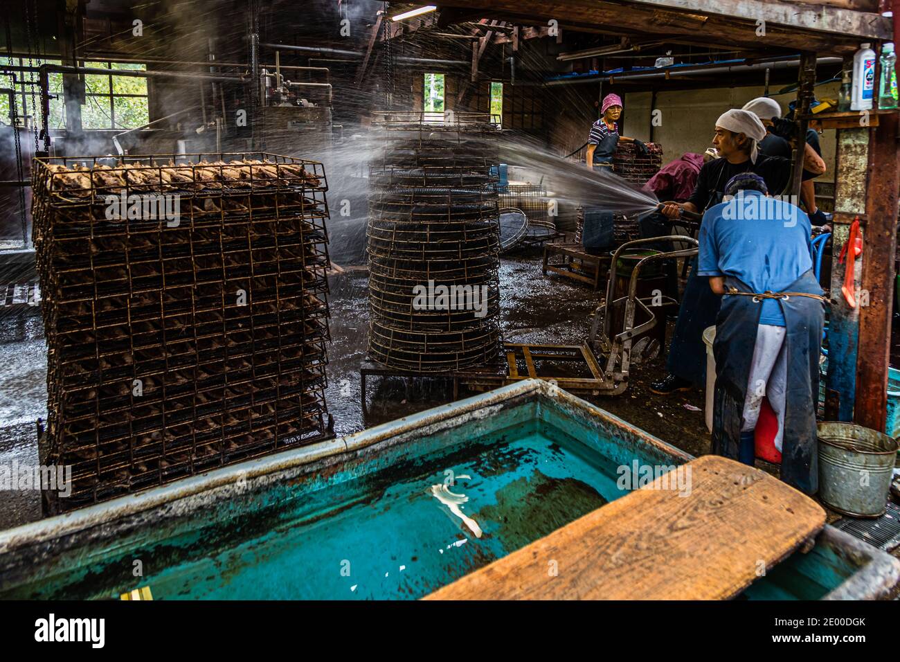 Yasuhisa Serizawa dans Nishiizu-Cho la fabrication Katsuobushi, Shizuoka, Japon Banque D'Images