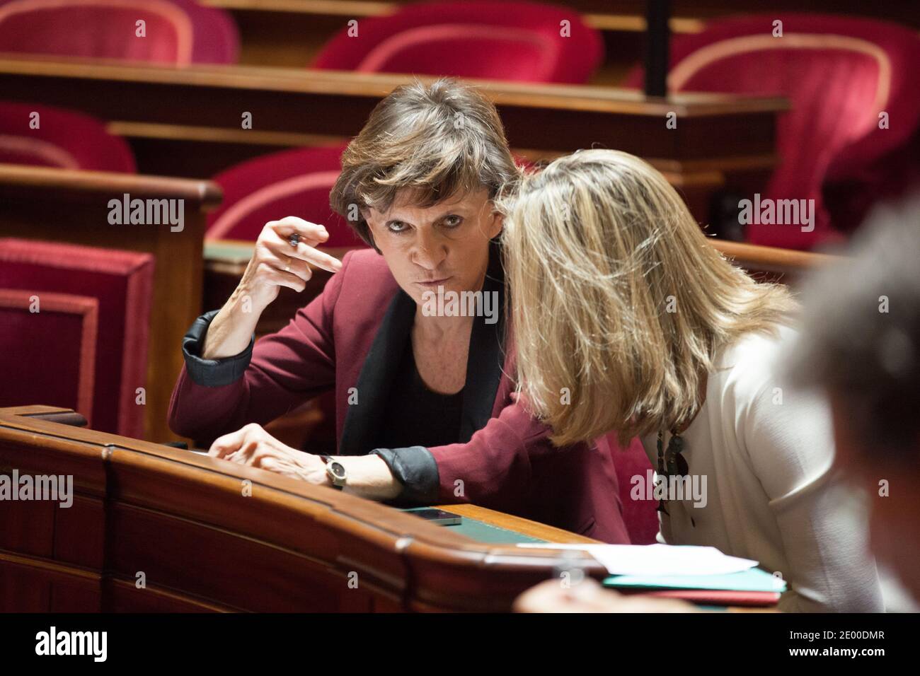 Michele Delaunay, ministre junior française des personnes âgées et handicapées, photographié à l'heure des questions ( QAG ) au Sénat, le 17 octobre 2013, à Paris, en France. Photo de Romain BoE/ABACAPRESS.COM Banque D'Images