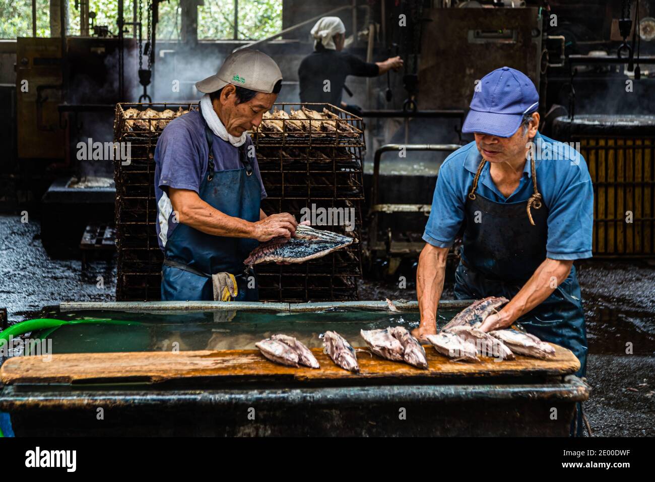 Yasuhisa Serizawa dans Nishiizu-Cho la fabrication Katsuobushi, Shizuoka, Japon Banque D'Images
