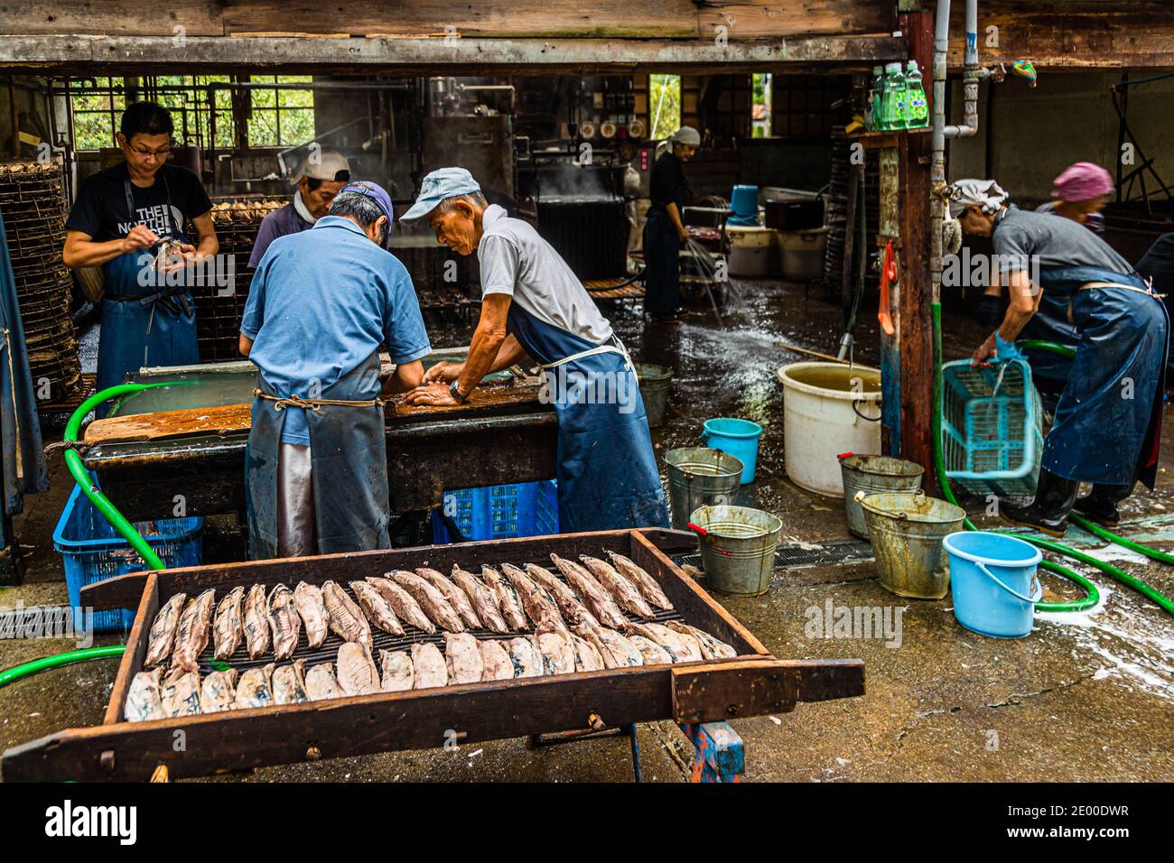 Yasuhisa Serizawa dans Nishiizu-Cho la fabrication Katsuobushi, Shizuoka, Japon Banque D'Images