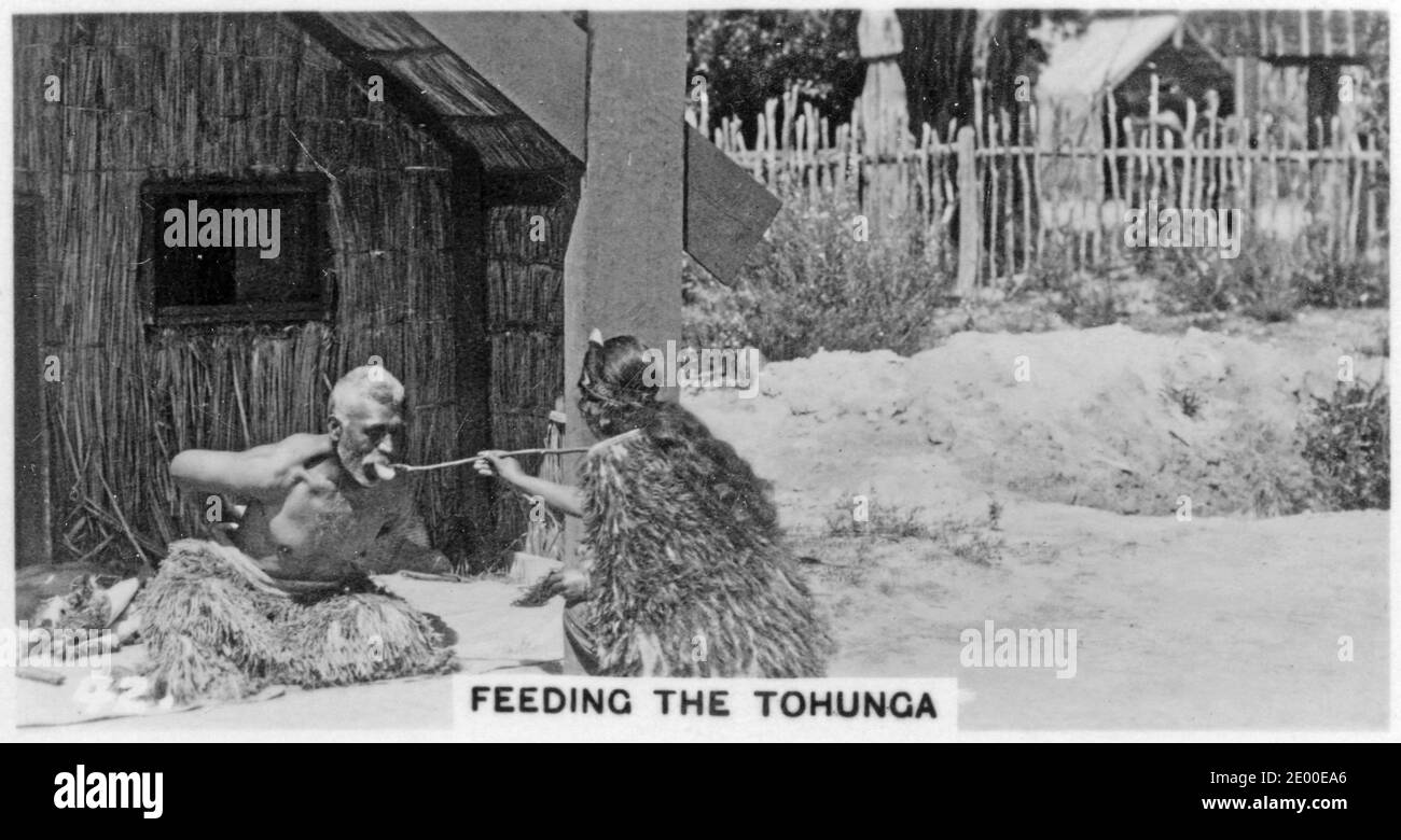 Une jeune maorie qui nourrit une tohunga tribale, car il est trop sacré pour être touché par quiconque ou pour se nourrir d'une carte à cigarettes sur l'histoire de la Nouvelle-Zélande, vers 1930 Banque D'Images