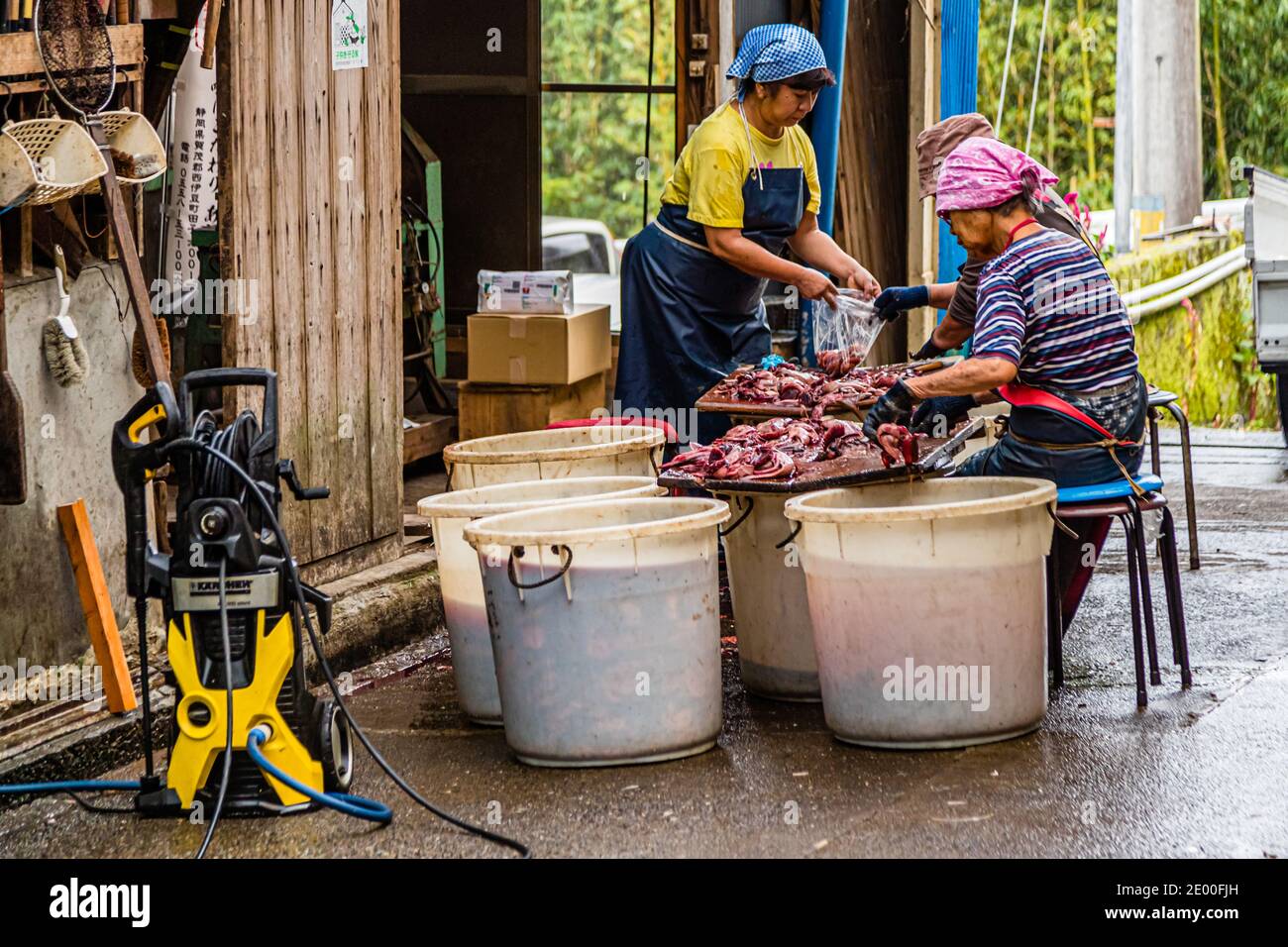 Yasuhisa Serizawa dans Nishiizu-Cho la fabrication Katsuobushi, Shizuoka, Japon Banque D'Images