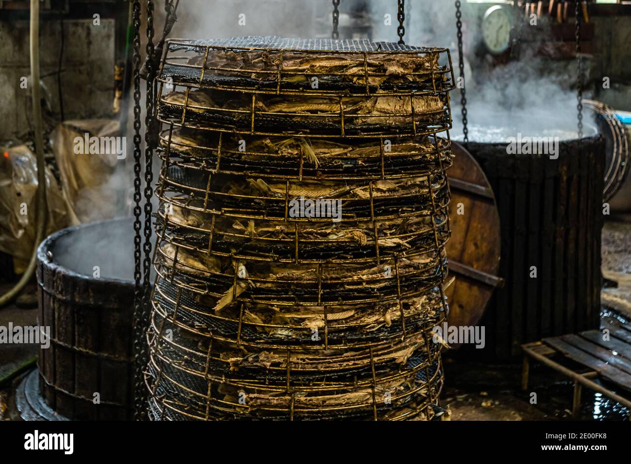 Yasuhisa Serizawa dans Nishiizu-Cho la fabrication Katsuobushi, Shizuoka, Japon Banque D'Images