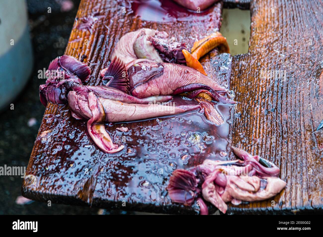 Yasuhisa Serizawa dans Nishiizu-Cho la fabrication Katsuobushi, Shizuoka, Japon Banque D'Images