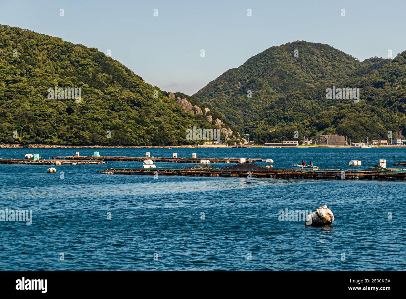 Lits d'huîtres à Numazu, Japon Banque D'Images