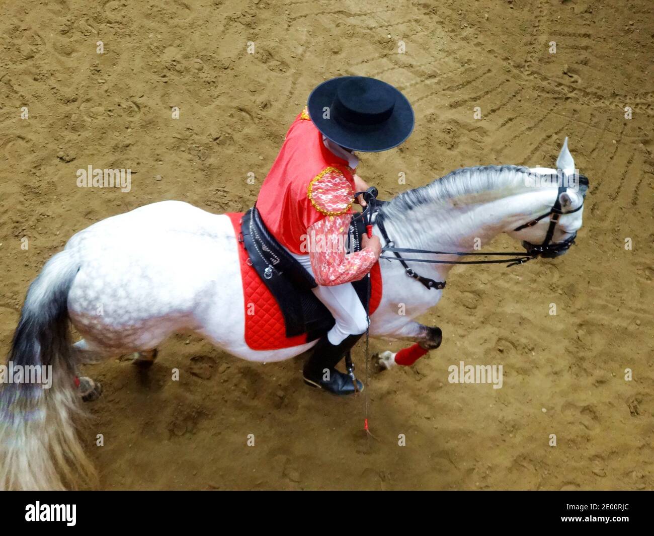 Vue de dessus d'un jockey et d'un cheval blanc Banque D'Images