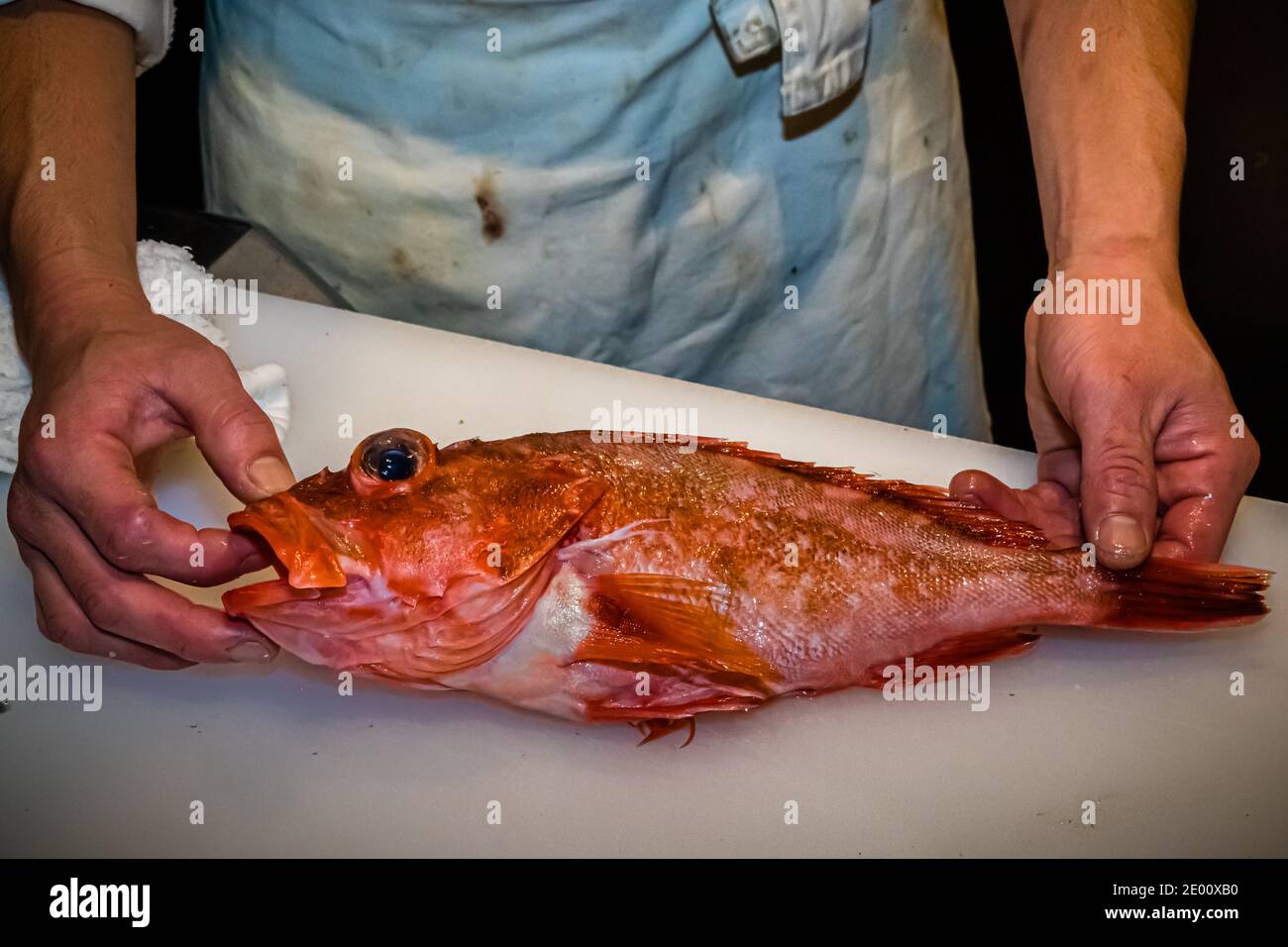 Restaurant préparation du plat de poisson à Shizuoka, Japon Banque D'Images