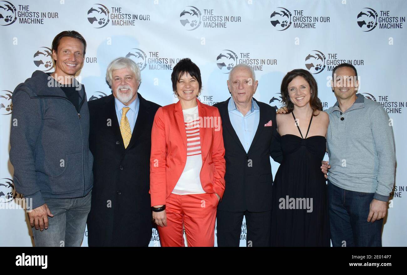 Shawn Monson, le capitaine Paul Watson, Liz Marshall, Ric O'Barry, JO-Anne McArthur et son invité arrivent pour la première « The Ghosts in Our machine » qui s'est tenue au Laemmle's Music Hall à Beverly Hills, Los Angeles, CA, États-Unis, le 15 novembre 2013. Photo de Tonya Wise/ABACAPRESS.COM Banque D'Images