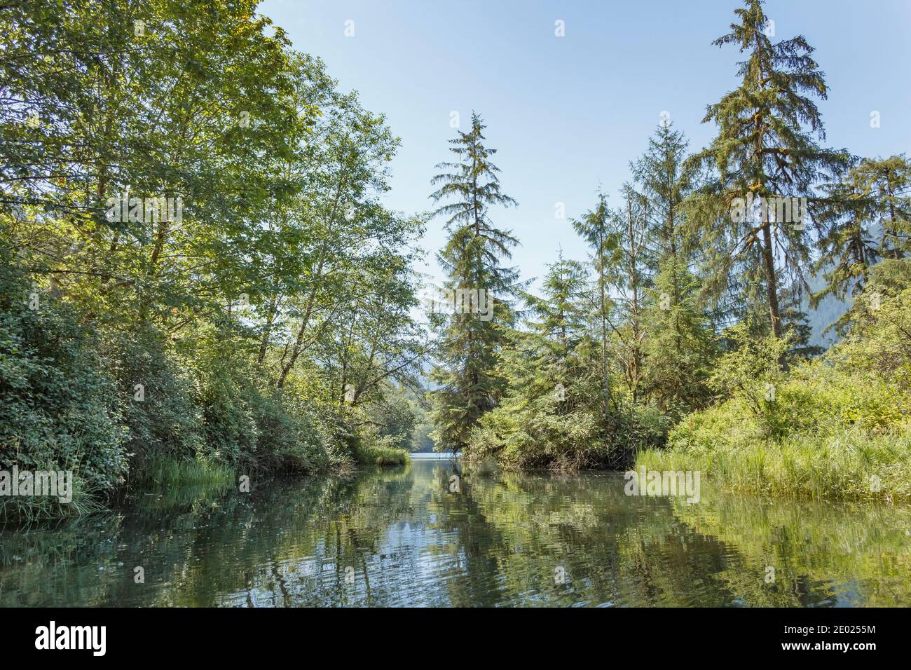 L'eau bleue et le ciel rencontrent une végétation luxuriante et des arbres sur les rives de l'estuaire de la rivière Tzoonie, une région sauvage de la Colombie-Britannique (été). Banque D'Images