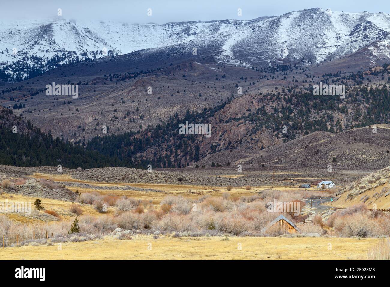 Montagnes enneigées au-dessus de la Highway 108 près de Sonora Junction en Californie, États-Unis Banque D'Images