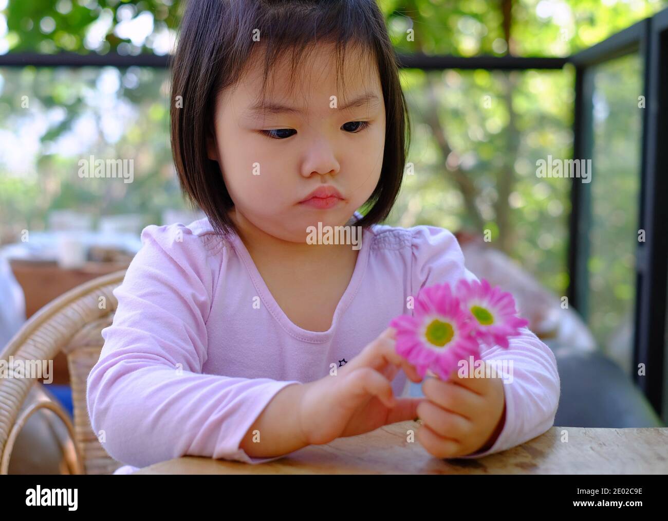 Une jolie petite fille asiatique timide assise près d'une table dans un café, se détendre et profiter de ses jolies fleurs roses, regardant perplexe. Banque D'Images