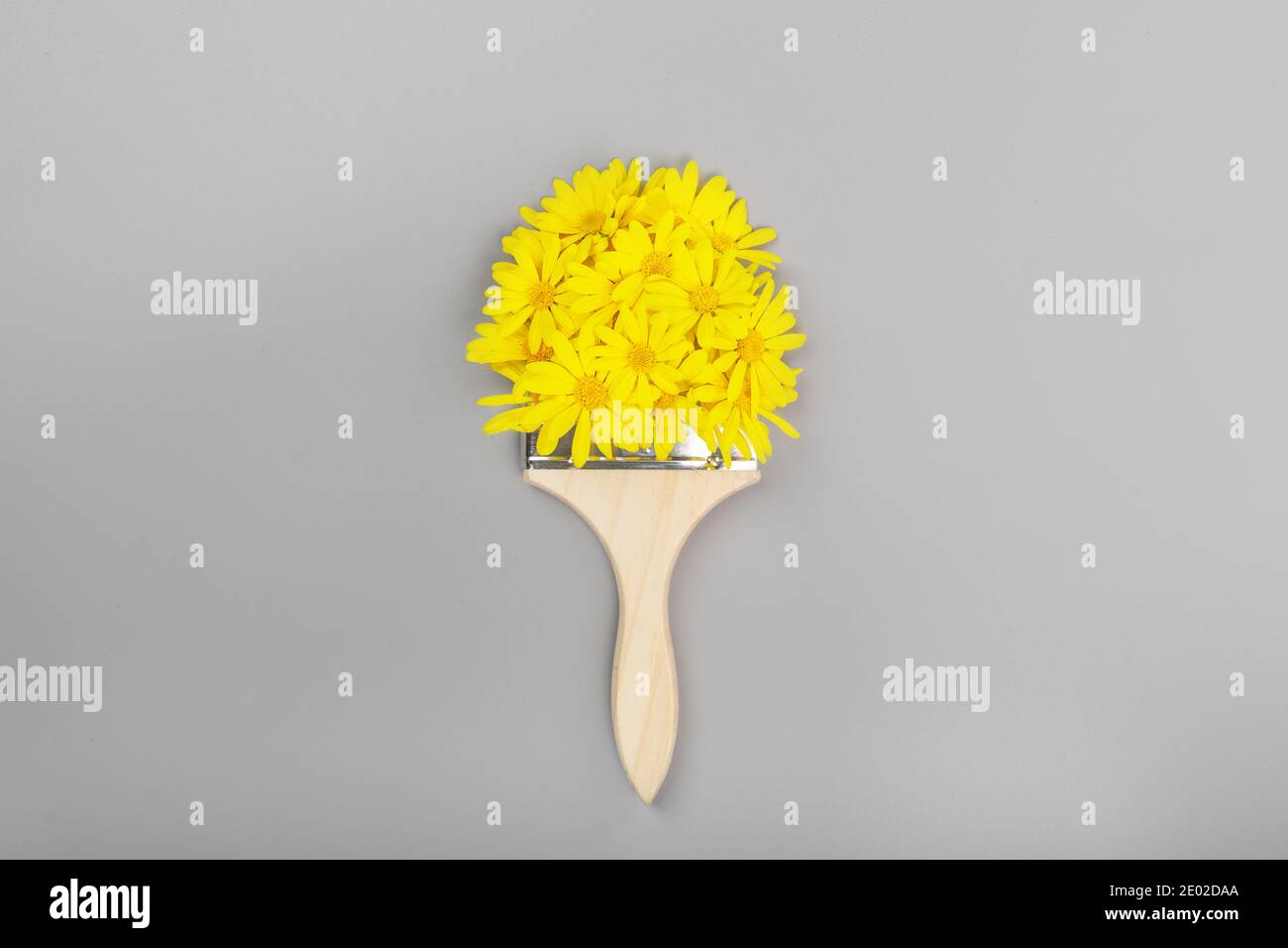 Pinceau à fleurs jaunes sur fond gris. Couleurs de l'année 2021 : gris ultime et illuminant. Concept de couleurs tendance, maquette avec copie Banque D'Images