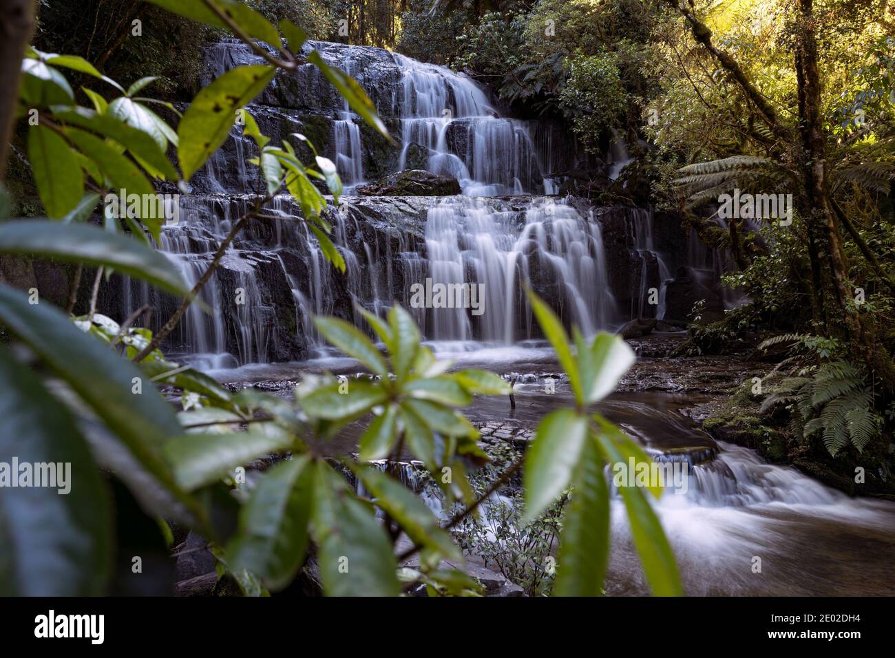 Les chutes de Purakuunui sont situées dans les Catlins, sur l'île du Sud, en Nouvelle-Zélande. Banque D'Images