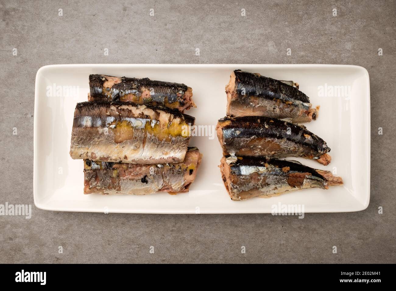 Saury en conserve sur fond blanc Banque D'Images
