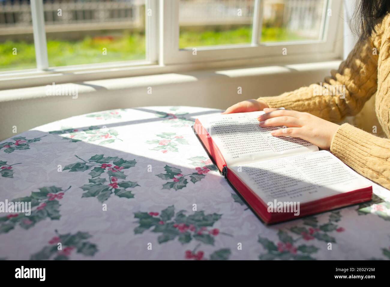 Coronavirus, gros plan d'une femme assise devant une fenêtre et lisant la Bible à la maison, lumière du soleil vive, espace de copie Banque D'Images