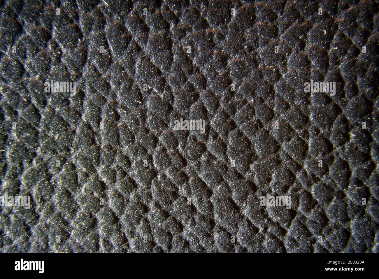Gros plan sur une texture en cuir noir de qualité. Grince le fond du tissu cutané. Banque D'Images