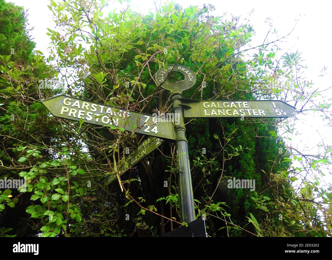 Panneau surcultivé vers Galgate, Lancaster, Garstang, Preston et Glasson Basin, sur la branche Glasson du canal de Lancaster 2020. Banque D'Images