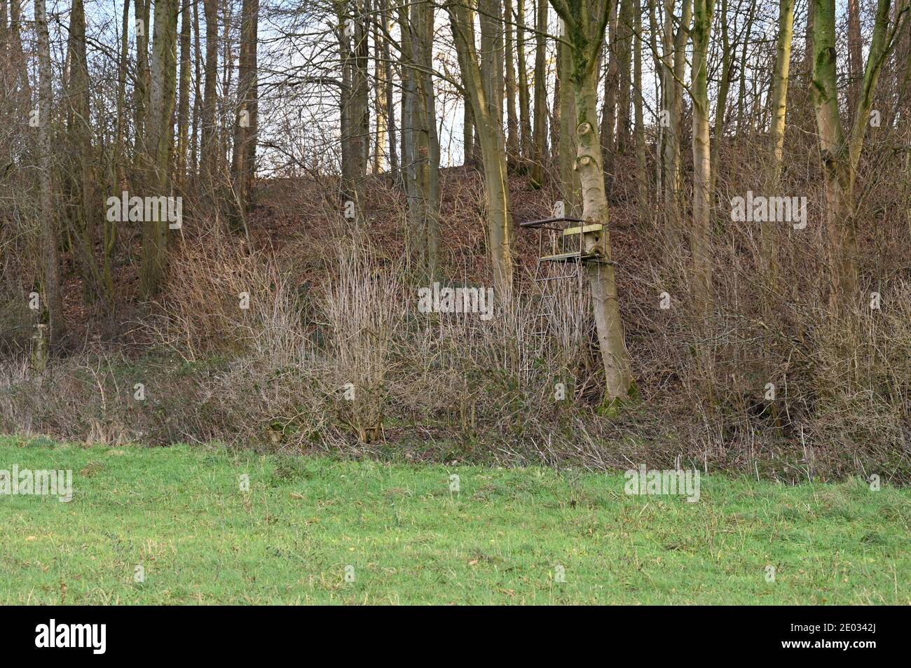 Hunter's tir et plate-forme d'observation sur le bord d'un bois près de Upton House une propriété NT près de Banbury, Oxfordshire Banque D'Images