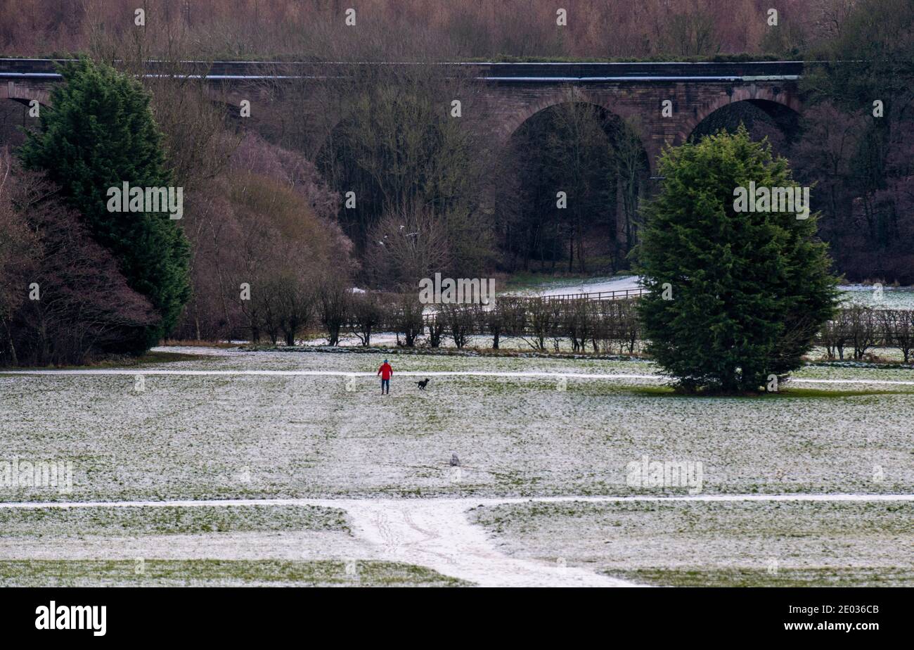 Harrogate, Royaume-Uni. 29 décembre 2020. Un homme et son chien marchant sur la neige dans la vallée de Crimple, dans la banlieue de Harrogate ce matin. Credit: ernesto rogata/Alay Live News Banque D'Images