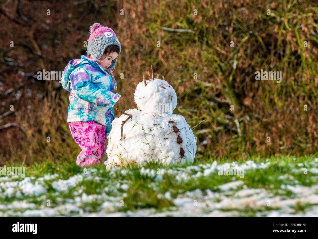 Harrogate, Royaume-Uni. 29 décembre 2020. Ce matin, les familles s'amusaient sur la neige dans la vallée de Crimple, à la périphérie de Harrogate. Credit: ernesto rogata/Alay Live News Banque D'Images