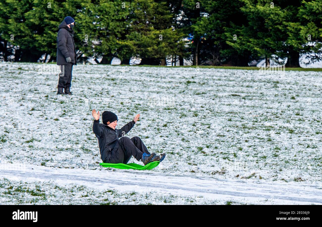 Harrogate, Royaume-Uni. 29 décembre 2020. Ce matin, les familles s'amusaient sur la neige dans la vallée de Crimple, à la périphérie de Harrogate. Credit: ernesto rogata/Alay Live News Banque D'Images