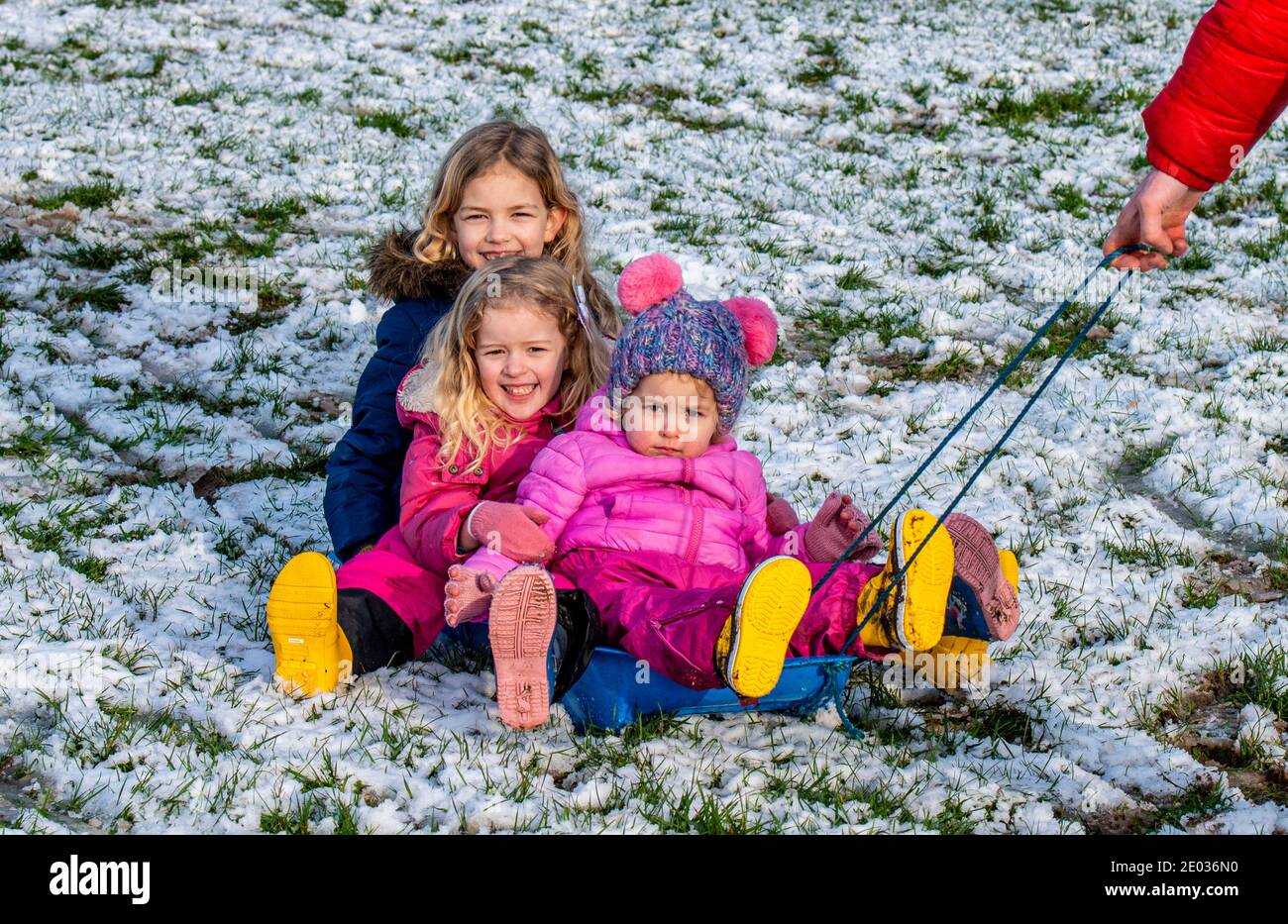 Harrogate, Royaume-Uni. 29 décembre 2020. Eliza, 7 (dos), Felicity, 3 (milieu) et Adeline. 2 (à l'avant) se sont amusés sur la neige avec leur père dans la vallée de Crimple, dans la banlieue de Harrogate ce matin. Credit: ernesto rogata/Alay Live News Banque D'Images