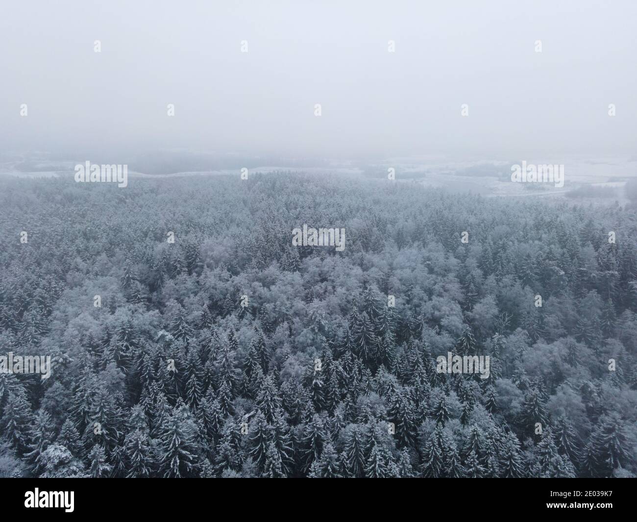 Vue aérienne sur la forêt des merveilles de l'hiver. Paysage d'hiver enneigé. Forêt d'épicéa Green Deal européen. Vue plongeante. Arrière-plan d'hiver. Banque D'Images
