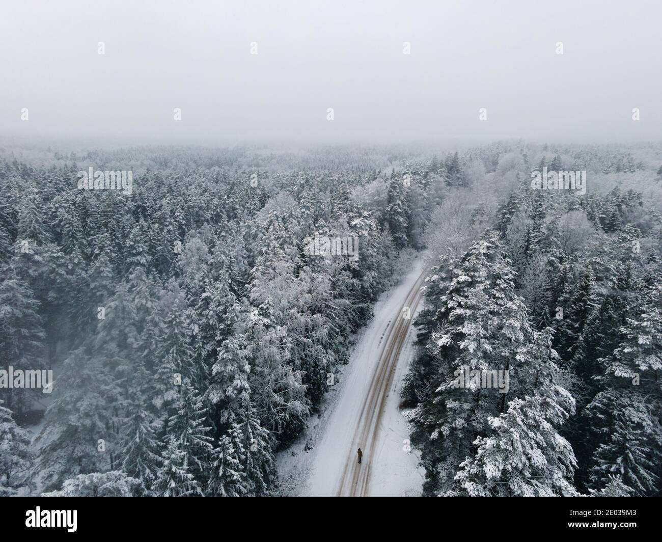 Vue panoramique sur la forêt d'épinettes. Paysage d'hiver d'en haut. Tir de drone d'un arbre recouvert de neige Banque D'Images