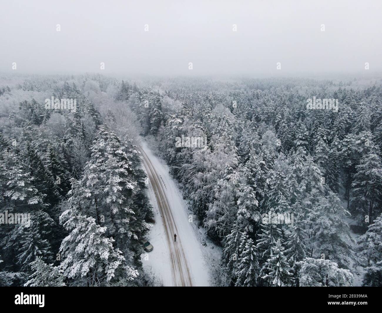 Vue panoramique sur la forêt d'épinettes. Paysage d'hiver d'en haut. Tir de drone d'un arbre recouvert de neige Banque D'Images