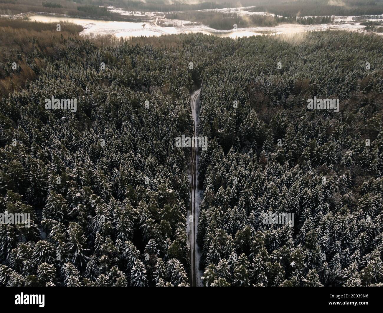 Vue panoramique sur la forêt d'épinettes. Paysage d'hiver d'en haut. Tir de drone d'un arbre recouvert de neige Banque D'Images
