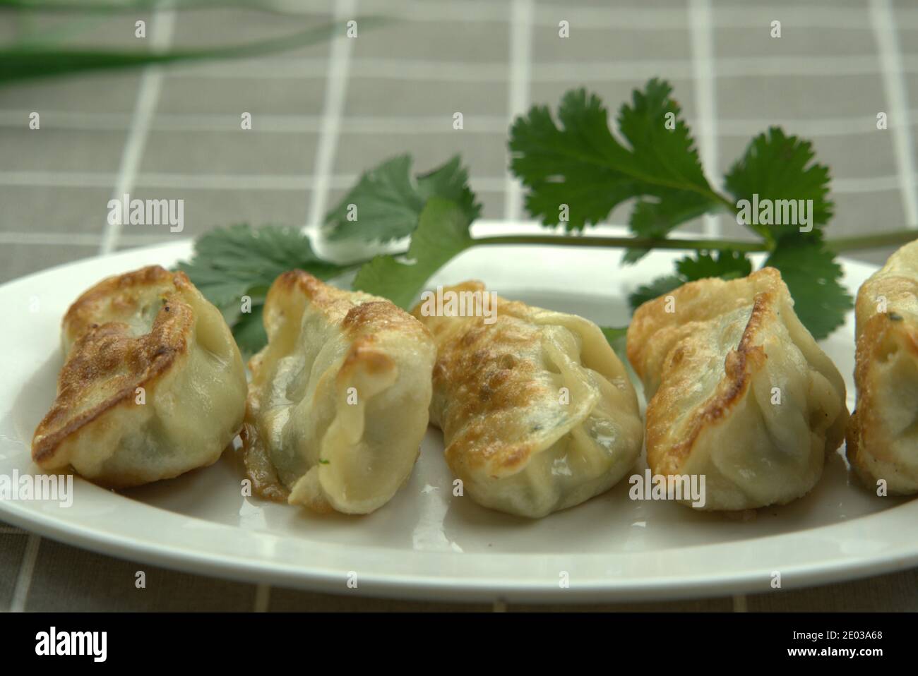Gros plan de boulettes frites dans une assiette blanche, cuisine chinoise traditionnelle maison Banque D'Images