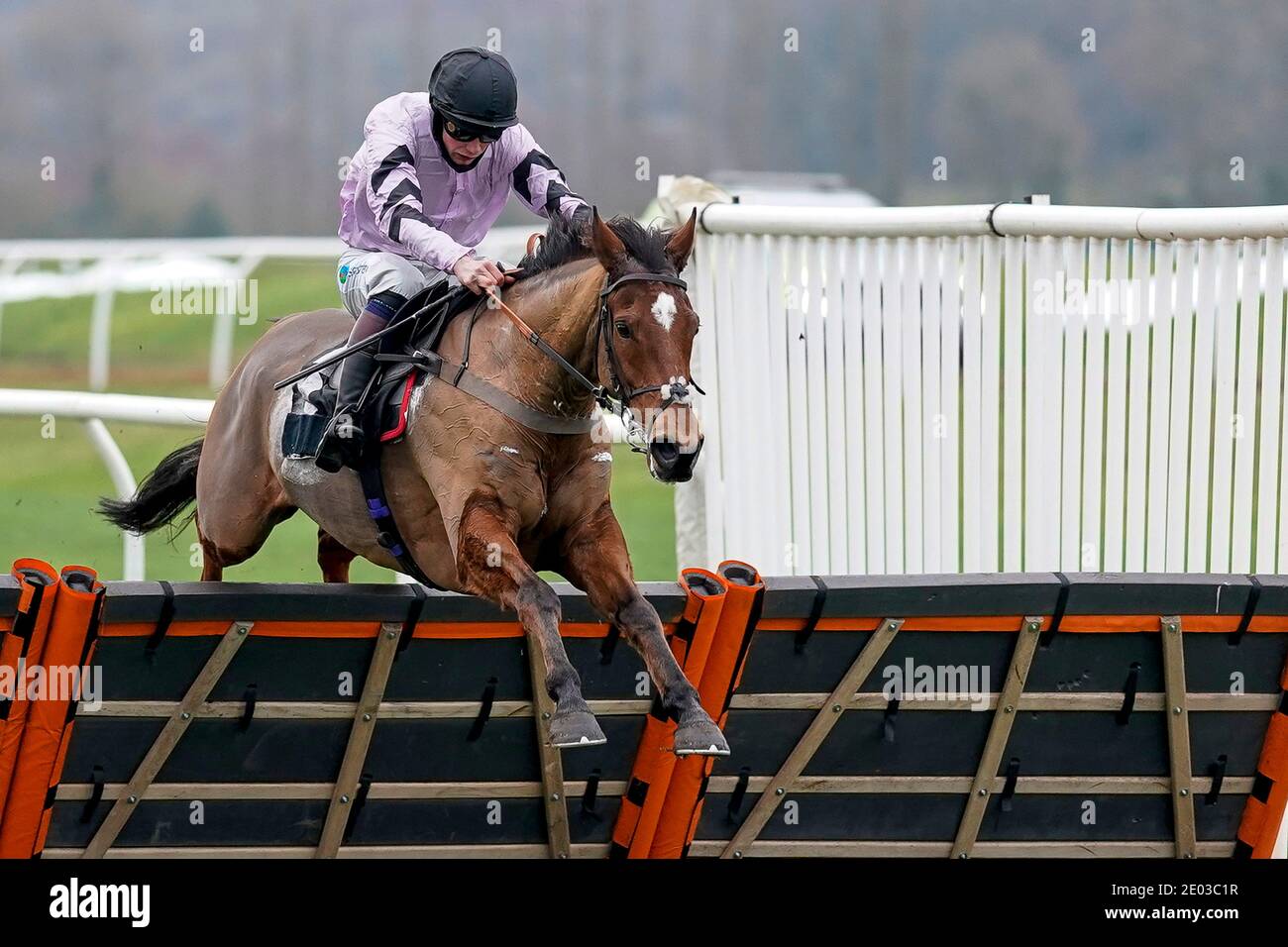 Anugus Cheleda à cheval Calva d'Auge Clear le dernier à gagner l'obstacle MansionBet's Watch and Bet handicap à Newbury Racecourse. Banque D'Images