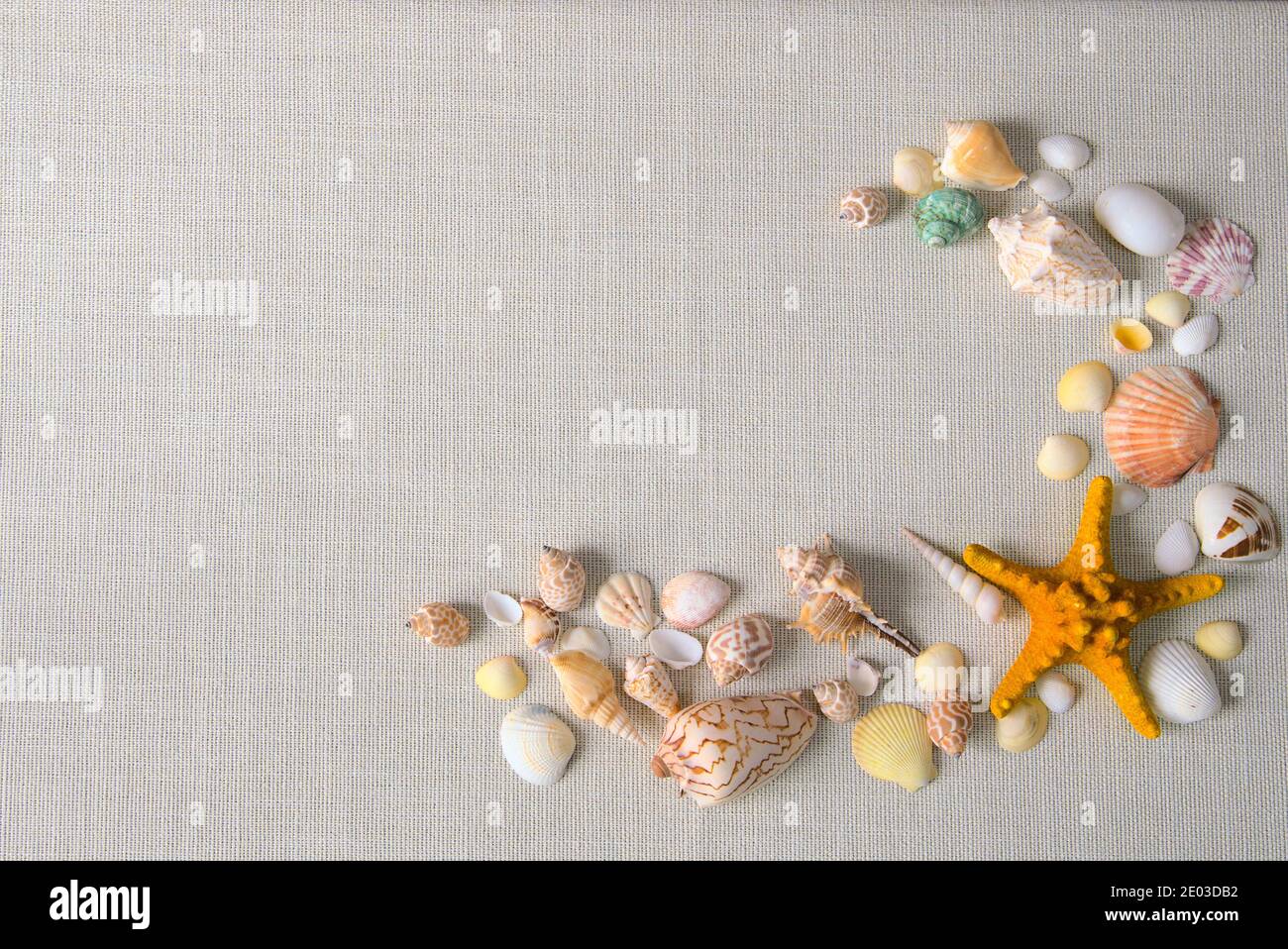 Lettre C orthographiée par des coquillages et des étoiles de mer. Concept de pose d'appartement créatif pour les vacances d'été Banque D'Images