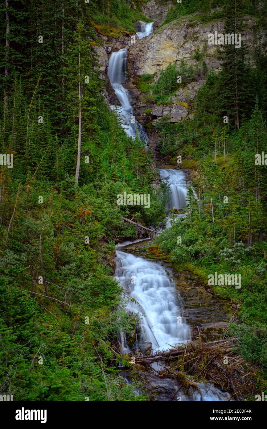 Cascade située le long du sentier menant au mont Bourgeau, parc national Banff, Alberta, Canada Banque D'Images