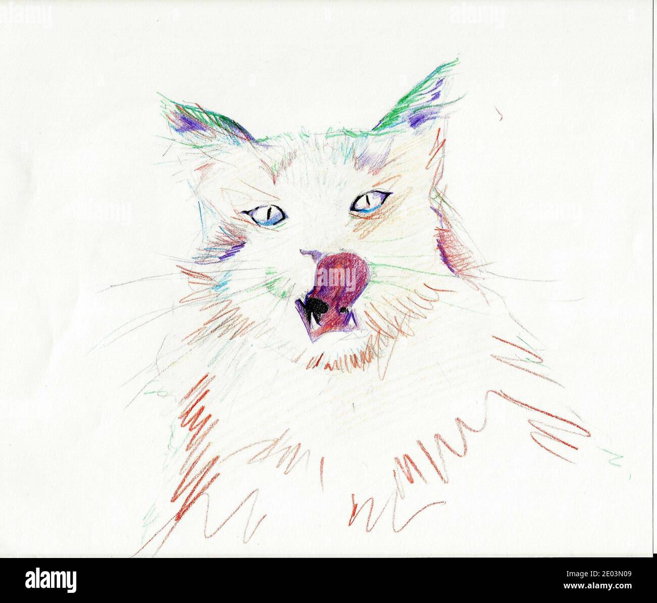 Un crayon de couleur dessiné à la main représentant un chat, sur papier blanc Banque D'Images